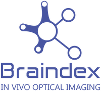 Braindex logo